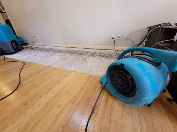 Professional Water Damage Repair technician working in Fayette, OH